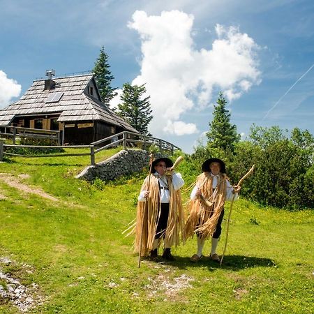 Chalet Tisa Velika Planina Stahovica Exterior photo