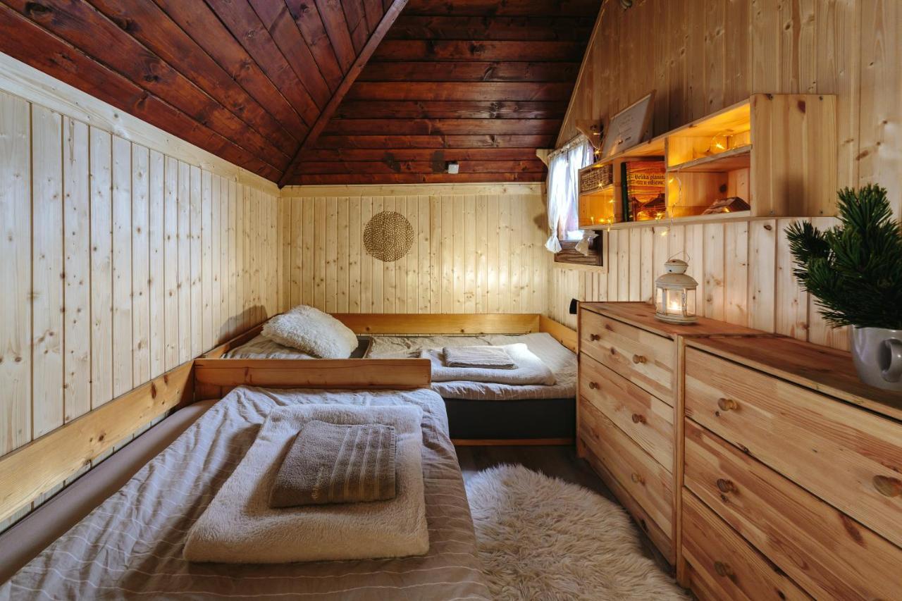 Chalet Tisa Velika Planina Stahovica Exterior photo