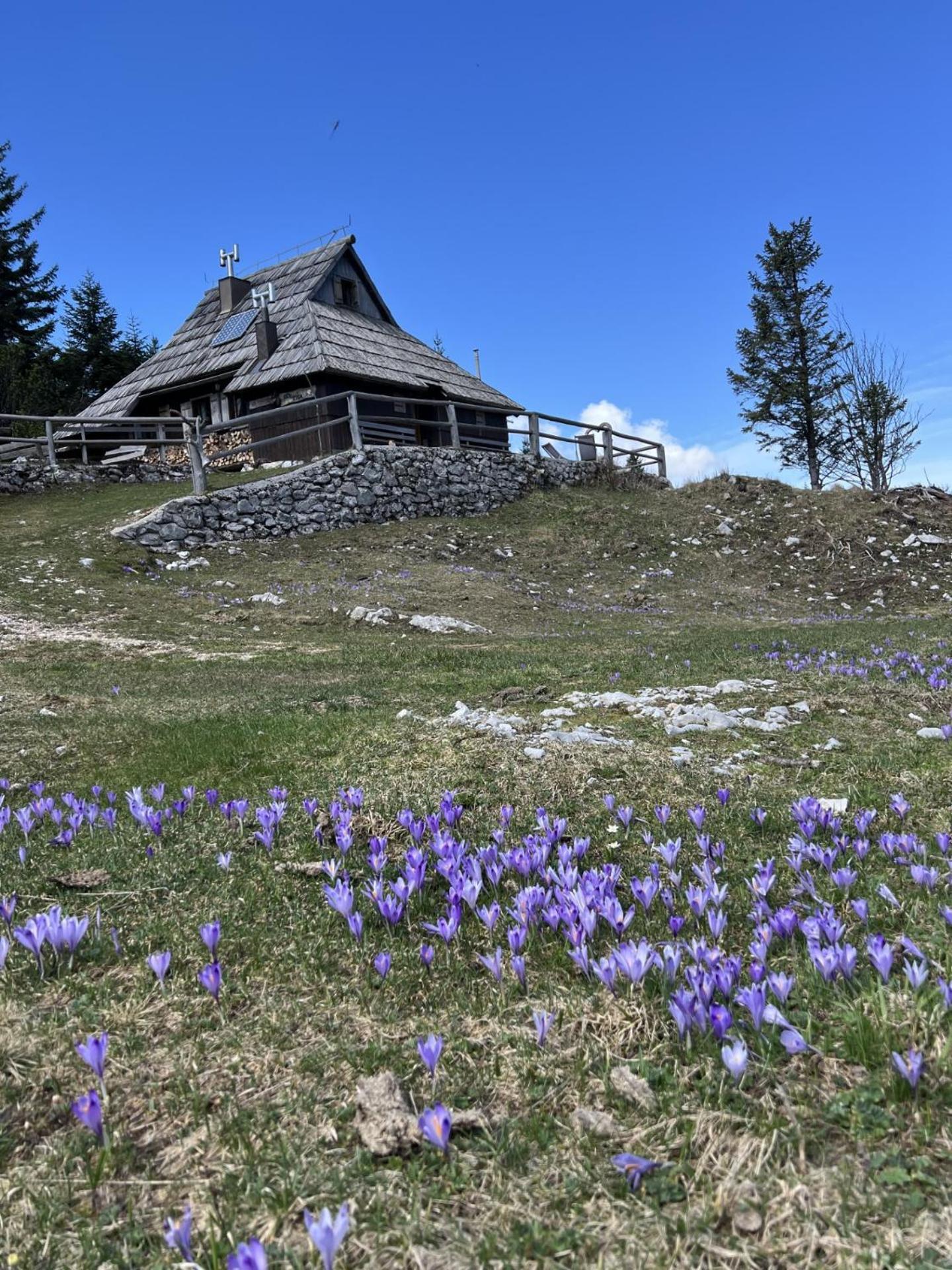 Chalet Tisa Velika Planina Stahovica Exterior photo