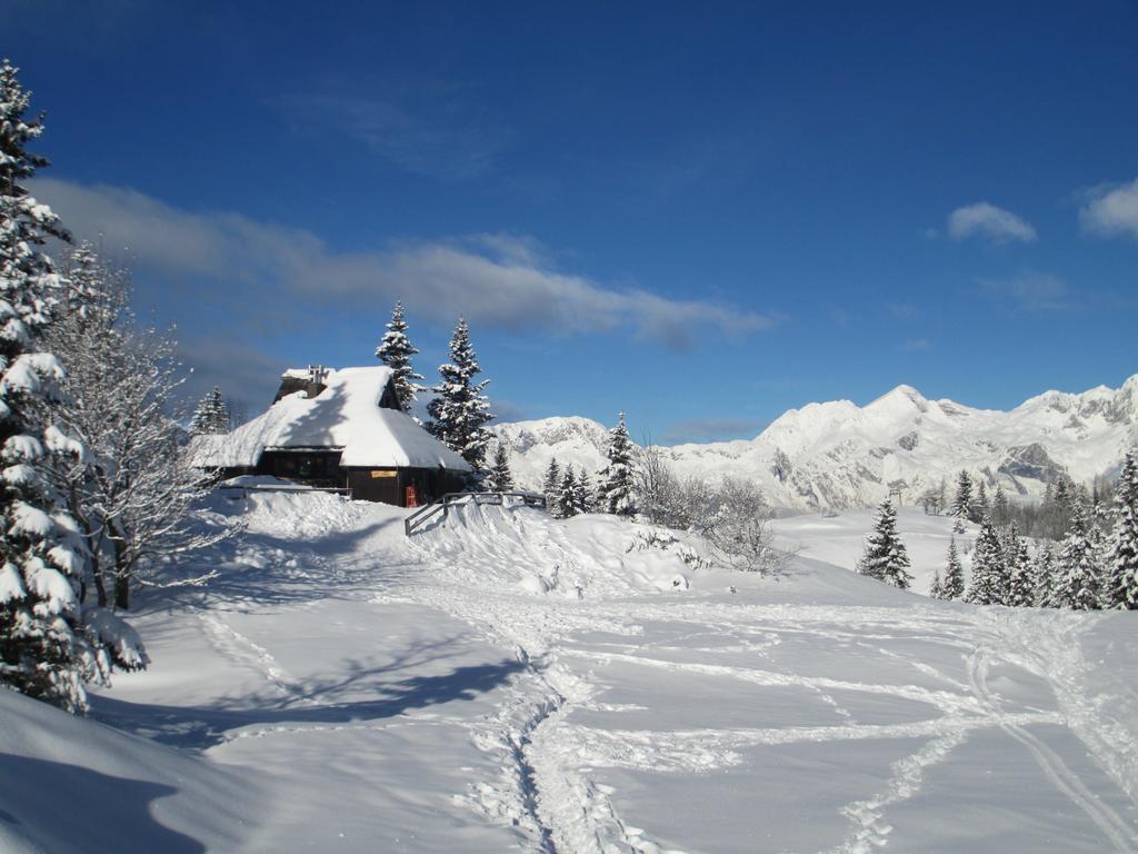Chalet Tisa Velika Planina Stahovica Room photo