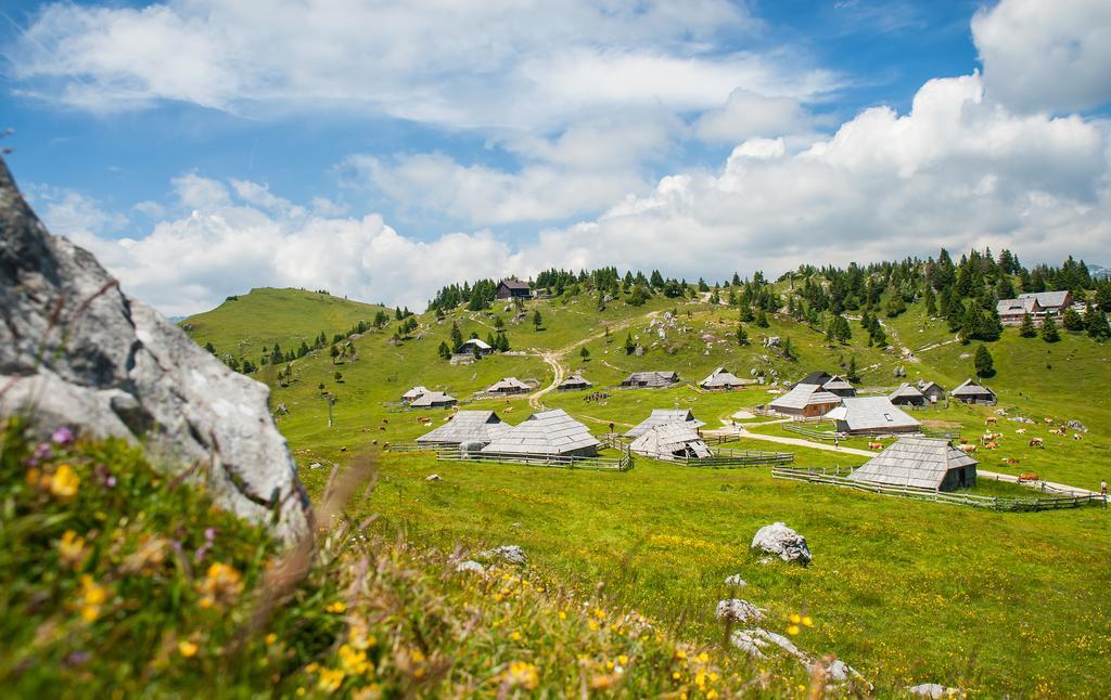 Chalet Tisa Velika Planina Stahovica Room photo