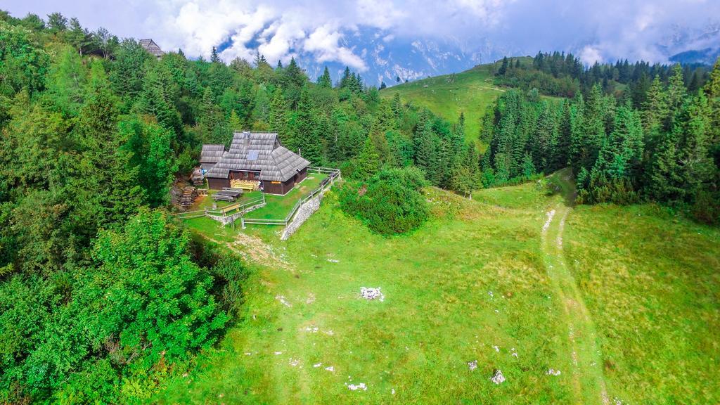 Chalet Tisa Velika Planina Stahovica Exterior photo