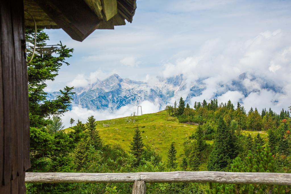 Chalet Tisa Velika Planina Stahovica Exterior photo