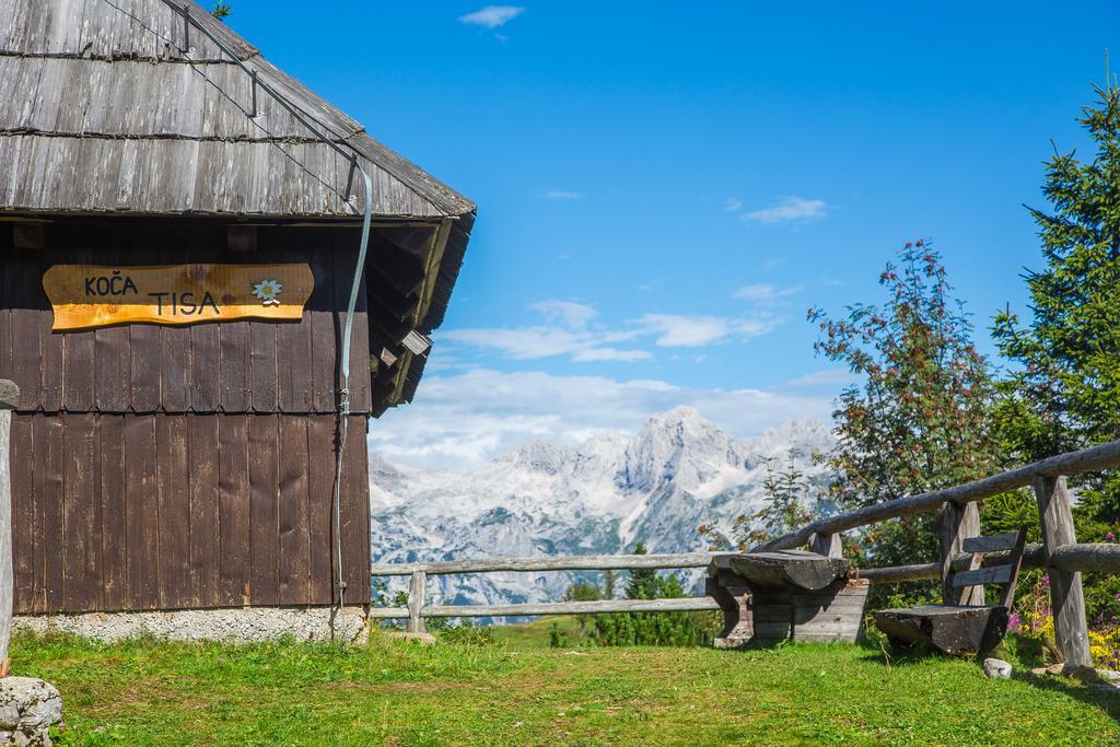 Chalet Tisa Velika Planina Stahovica Exterior photo
