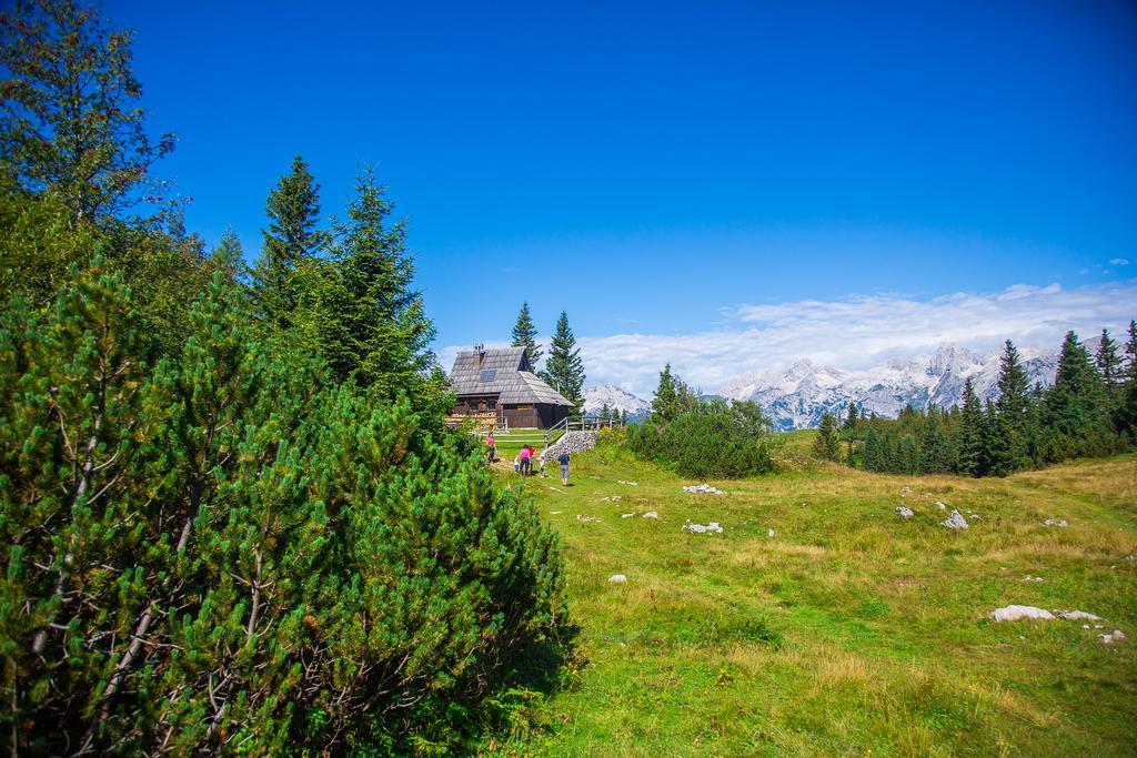 Chalet Tisa Velika Planina Stahovica Exterior photo