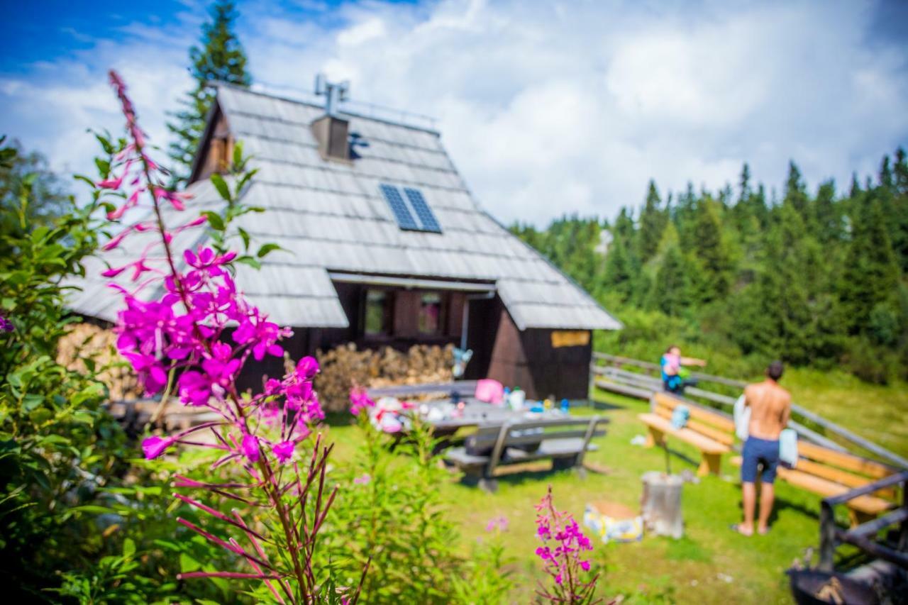 Chalet Tisa Velika Planina Stahovica Exterior photo